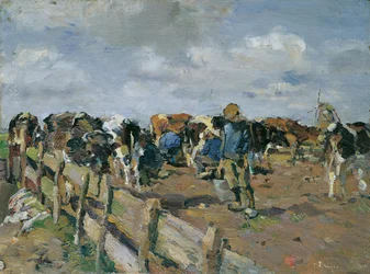 Ordeñar las vacas