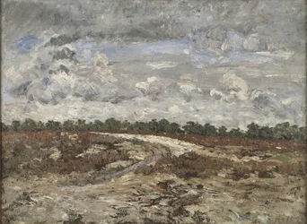Paisaje salvaje en el bosque de Fontainebleau
