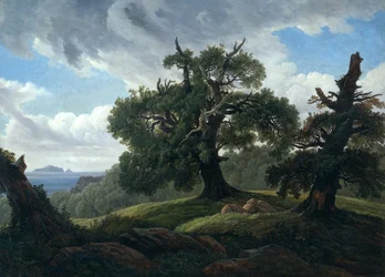 Recuerdo de una isla boscosa en el Mar Báltico Robles junto al mar, 1835