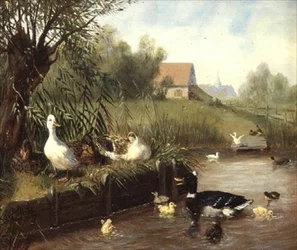 Patos en la orilla del río