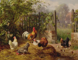 Gallo con gallinas y pollitos