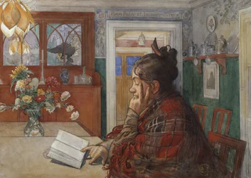 Karin leyendo