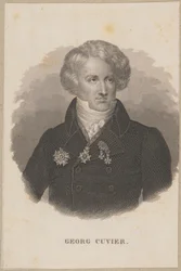 Georges Cuvier (1769 Montbéliard - 1832 París) - zoólogo francés, fundador de la paleontología