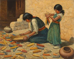 Secado del maíz