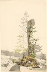 Un grupo de árboles junto a un arroyo rocoso en Ramsau
