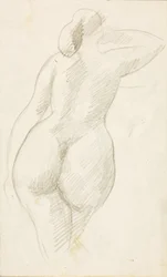 Vista trasera de desnudo femenino