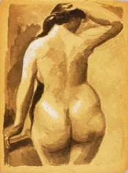 Vista trasera de desnudo femenino