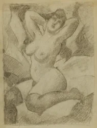 Desnudo femenino con medias negras