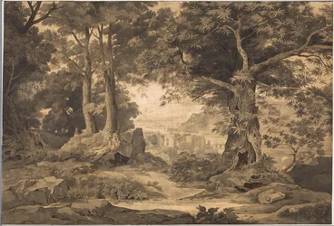 Heidelberg con la bella lejanía