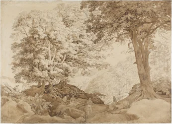 Descanso en el bosque de robles