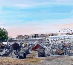 Norte de Marruecos, Zoco de Tánger, fecha de la imagen: hacia 1910. Archivo Carl Simon