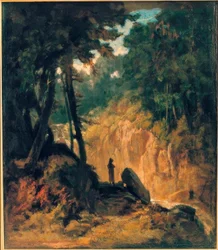 Paisaje boscoso con cascada, en la orilla con capuchinos