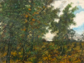 En el borde del bosque