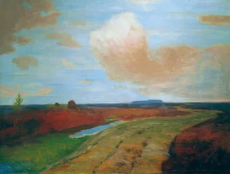 Atmósfera vespertina en el páramo pantanoso