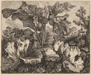 Pequeño estudio de planta: un bardana, delicados mechones de hierba a la izquierda