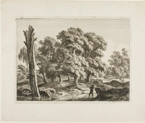 Paisaje