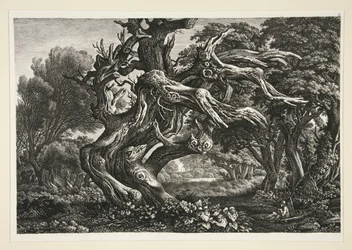 Paisaje