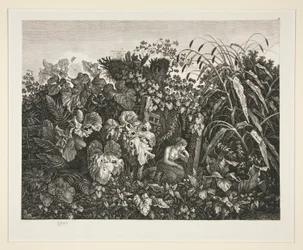 Paisaje