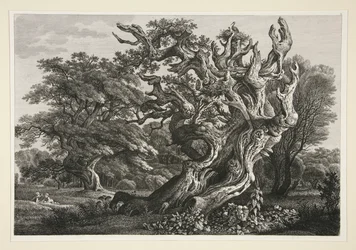 Paisaje