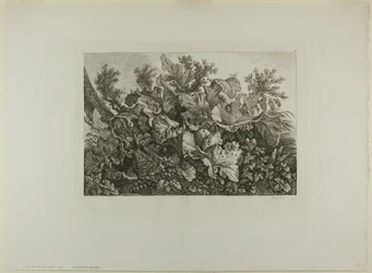 Plantas de pantano