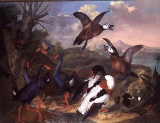 Aves en un paisaje