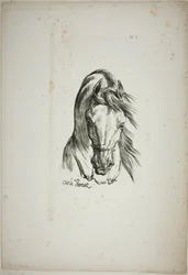 Detalle de la cabeza de caballo, ampliada al triple, Guardia Real Normanda, nº 1