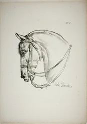 Detalle de la cabeza de caballo, ampliada al triple, Guardia Real Normanda, nº 2