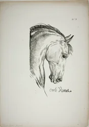 Detalle de la cabeza de caballo, ampliada al triple, Guardia Real Normanda, nº 3