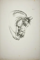 Detalle de la cabeza de caballo, ampliada al triple, Guardia Real Normanda, nº 5, Primer Caballo de Limoges