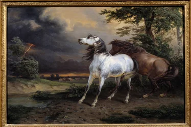 Caballos asustados por la tormenta