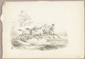 Tres caballos corriendo