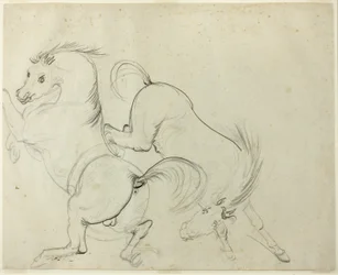 Dos caballos retozando (recto); Hombre en un caballo pateador (verso)