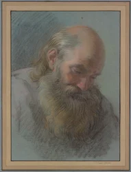 Cabeza de un anciano barbudo