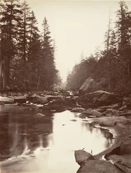 Río Merced, Yosemite, ca. 1872, impreso ca. 1876