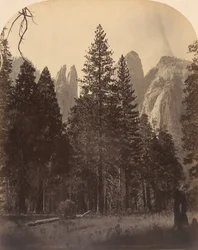Torres de la catedral, 1861