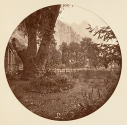 [Parque Nacional de Yosemite, California], ca. 1878.