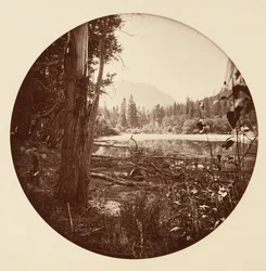 [Parque Nacional de Yosemite, California], ca. 1878.