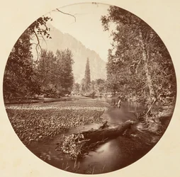 Parque Nacional de Yosemite, California, hacia 1878.