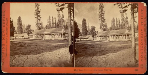 Estación del Gran Árbol, Mariposa Grove