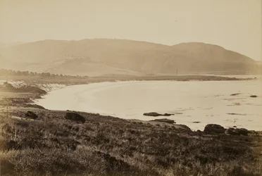 [Vista de la costa, Monterey]
