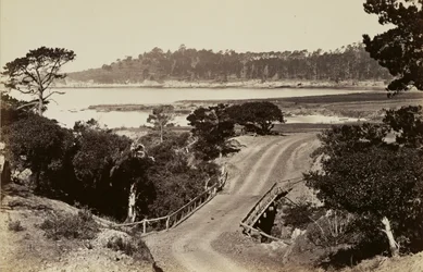 [Vista de la costa cerca de Monterey]