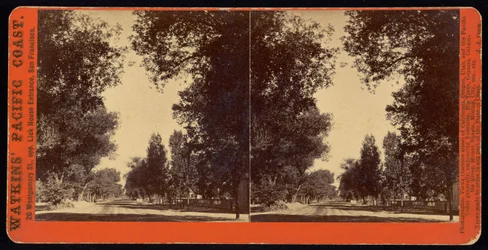 Vista de calle arbolada de San Gabriel, California