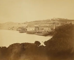 [Fábrica de lana, San Francisco]