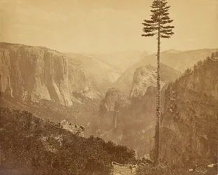 Valle de Yosemite desde el sendero de Mariposa