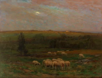 Tarde después de la ducha