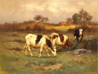 El lote de pastos