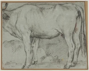 Vaca de pie (sin cabeza)