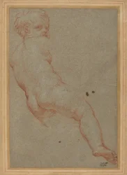 Estudio de un Niño