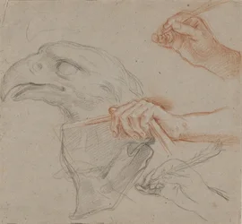 Estudio para una cabeza de águila, tres estudios para una mano con una pluma y un estudio para una mano sosteniendo un libro