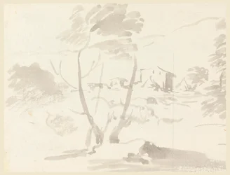 Boceto de Árboles en un Paisaje